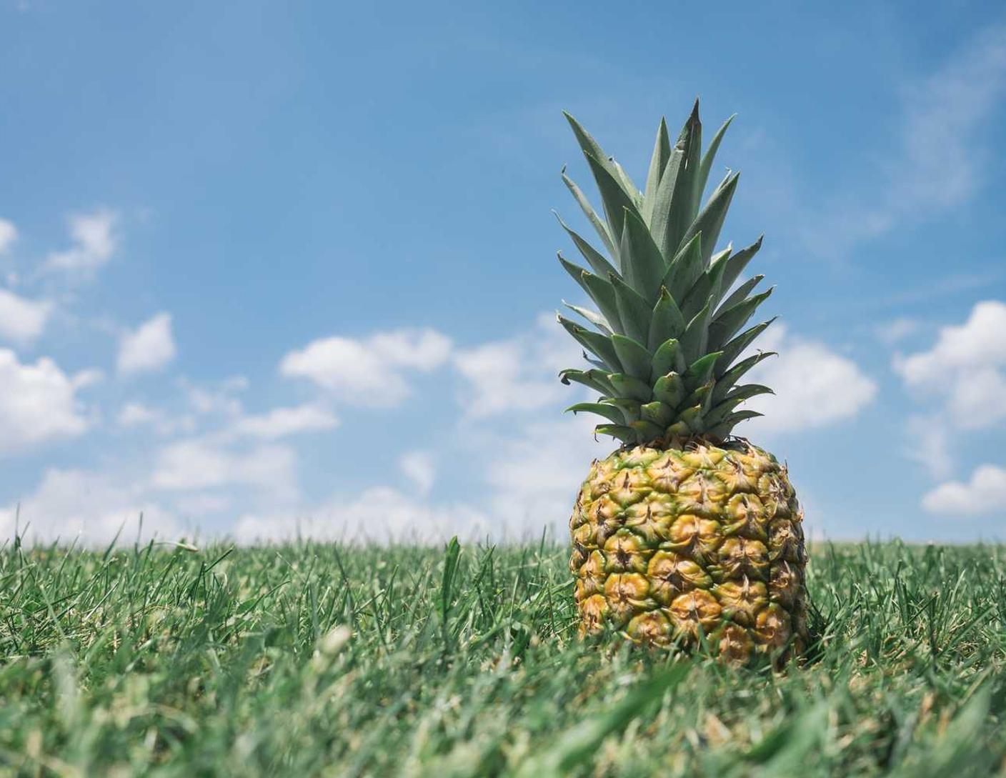 救世之树M：免费代理母婴平台