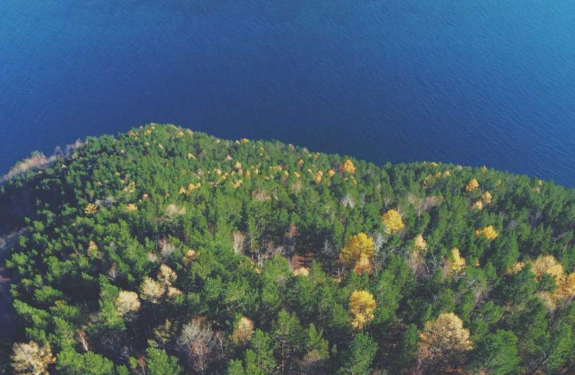 炸房器|黑客攻击如何影响文化遗产与数字化博物馆