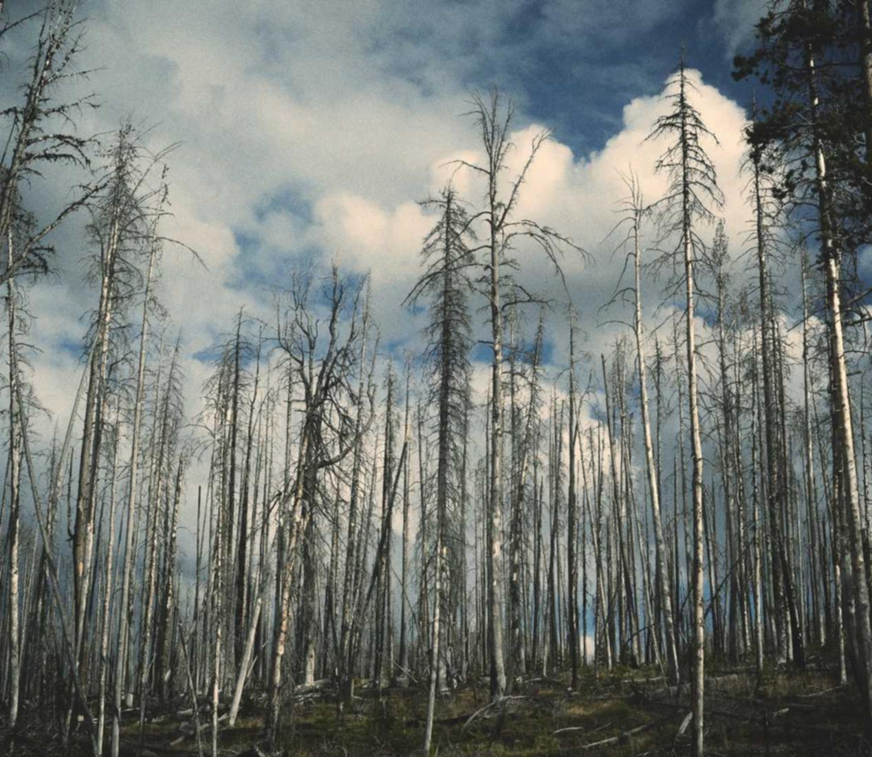 游戏技术支持辅助软件会不会对电脑产生危害