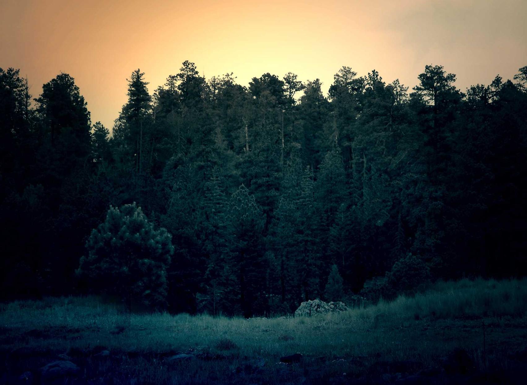 卿我app详情下载教程