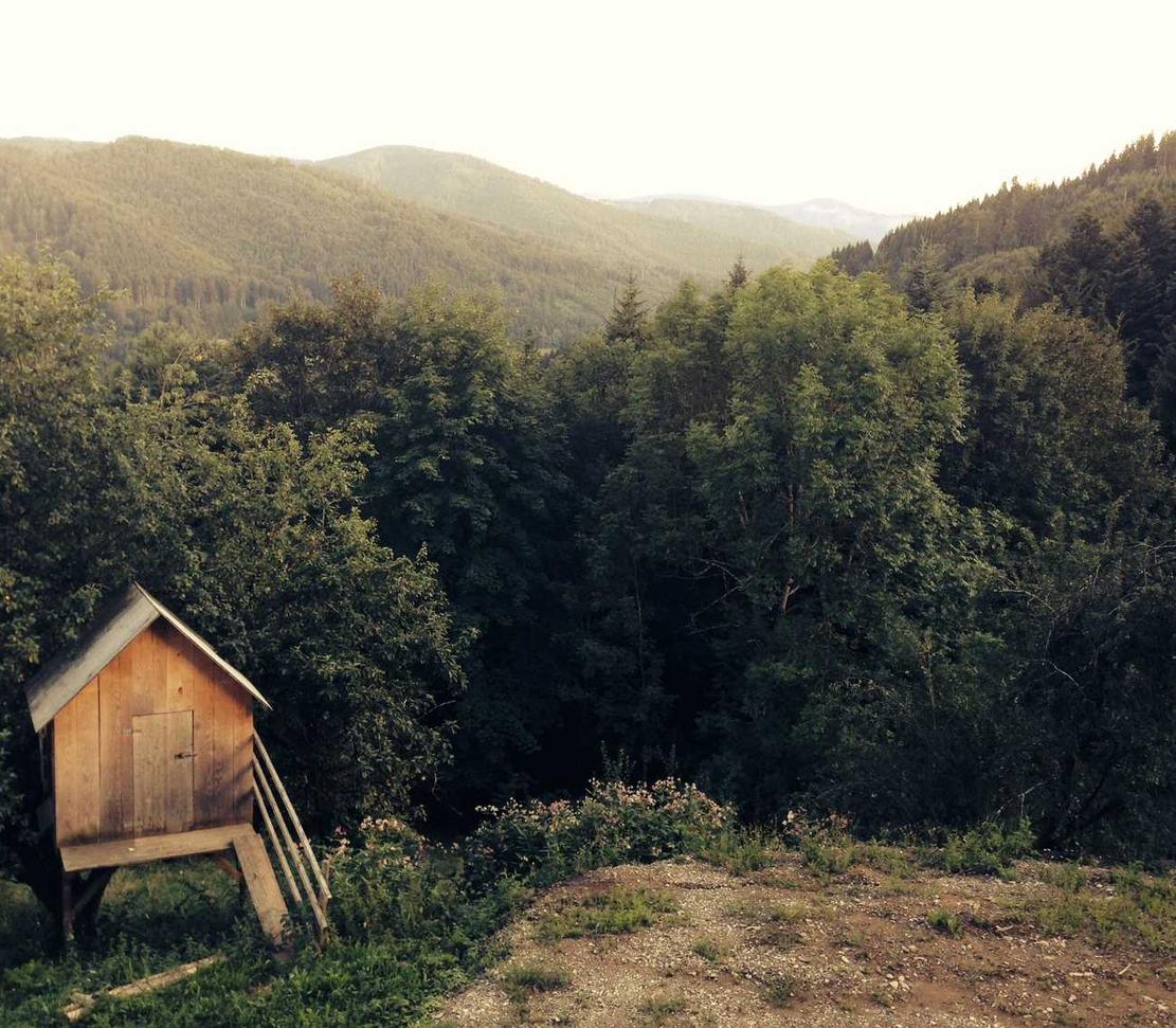 Mond梦都葡萄：安徽池州代理注册公司