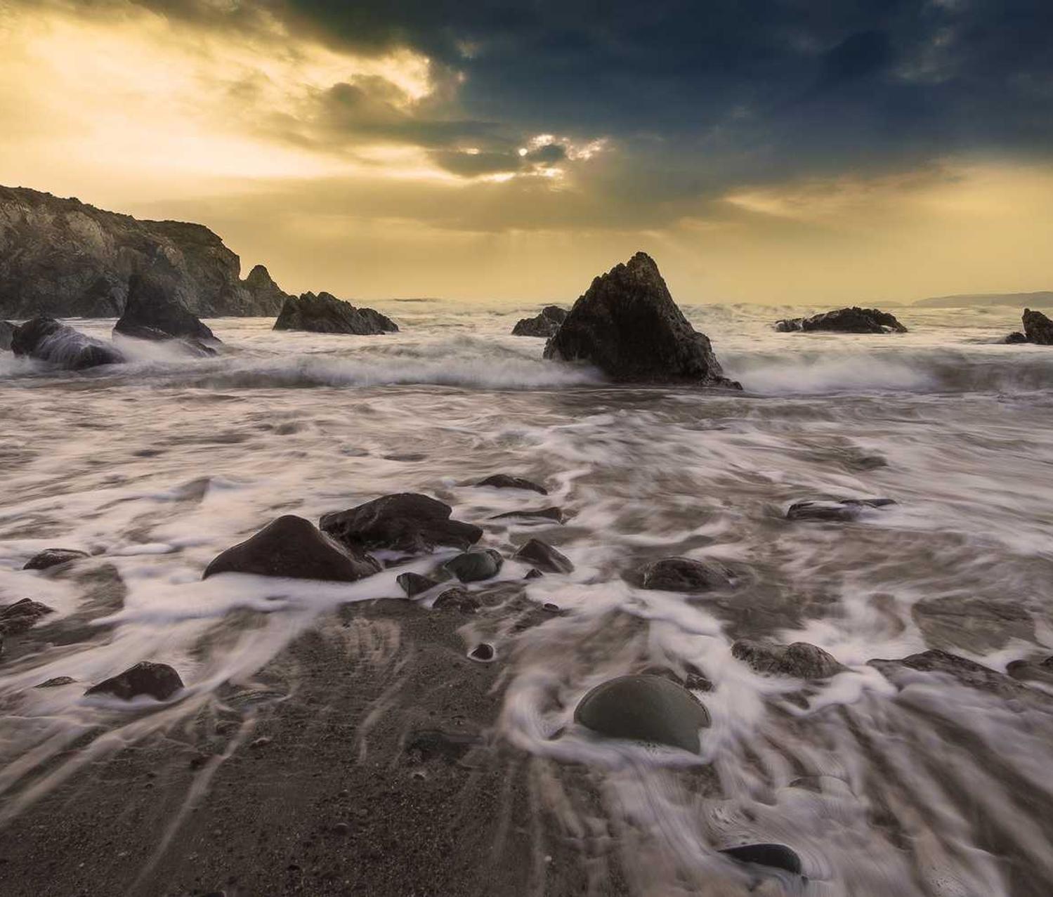 沧州洋酒购买平台