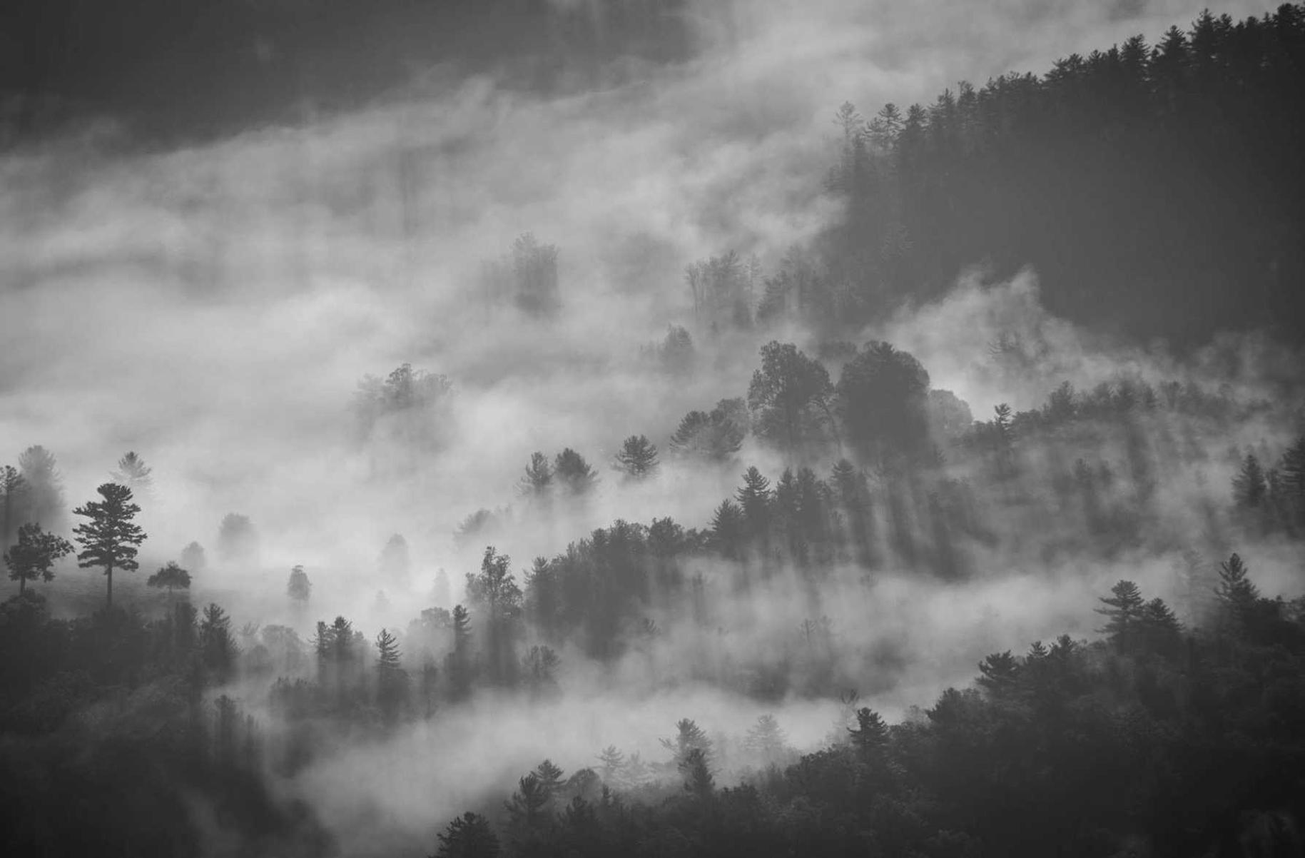 如何通过法律手段来控制技术支持辅助的合规流程行为