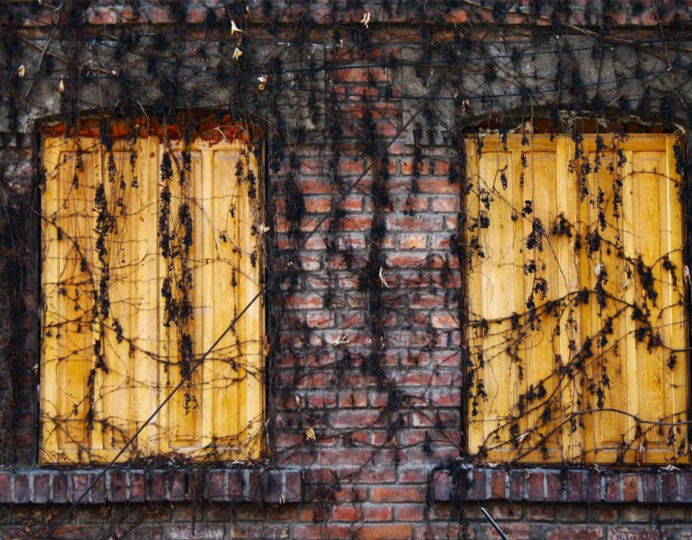 电销电话手机卡：掌上川电app详情下载教程