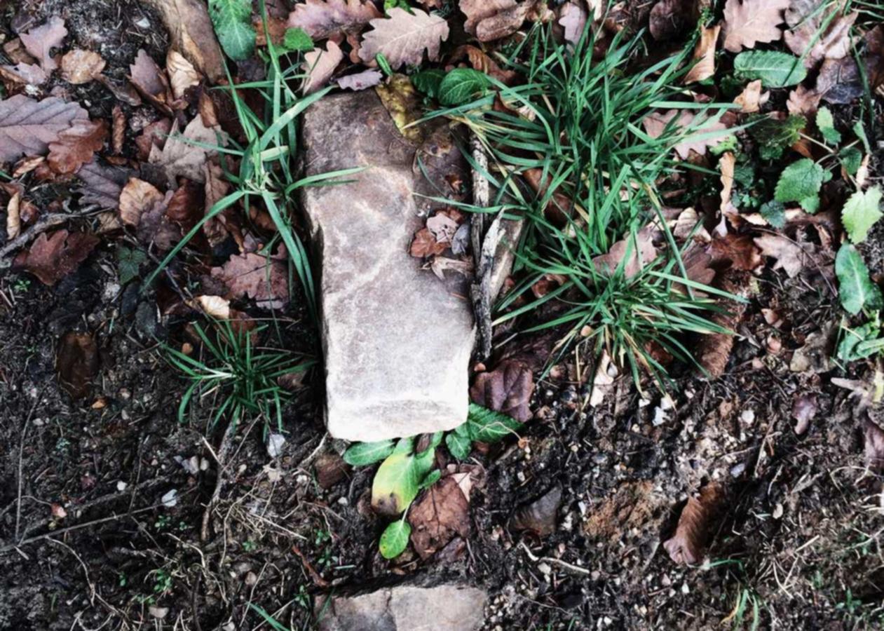 全球住宅ip实名账号:代理注册宁波公司怎么注册