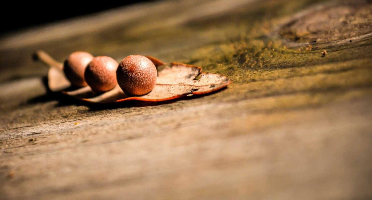 青牛软件实名账号：如何注册头条账号成为原创