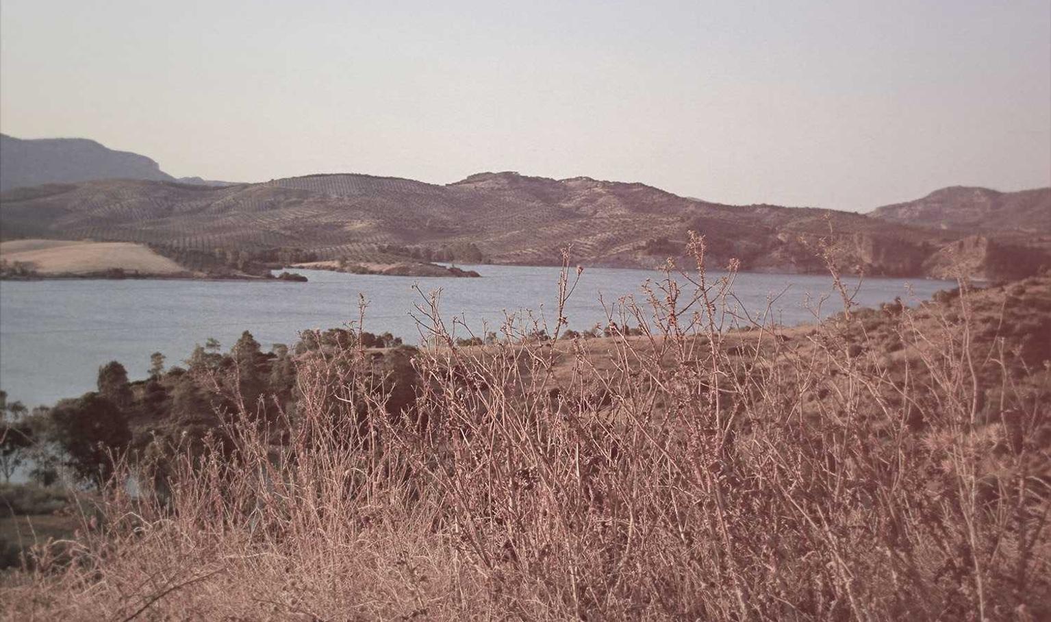 话机通信实名账号：流量卡的持续创新和产品升级