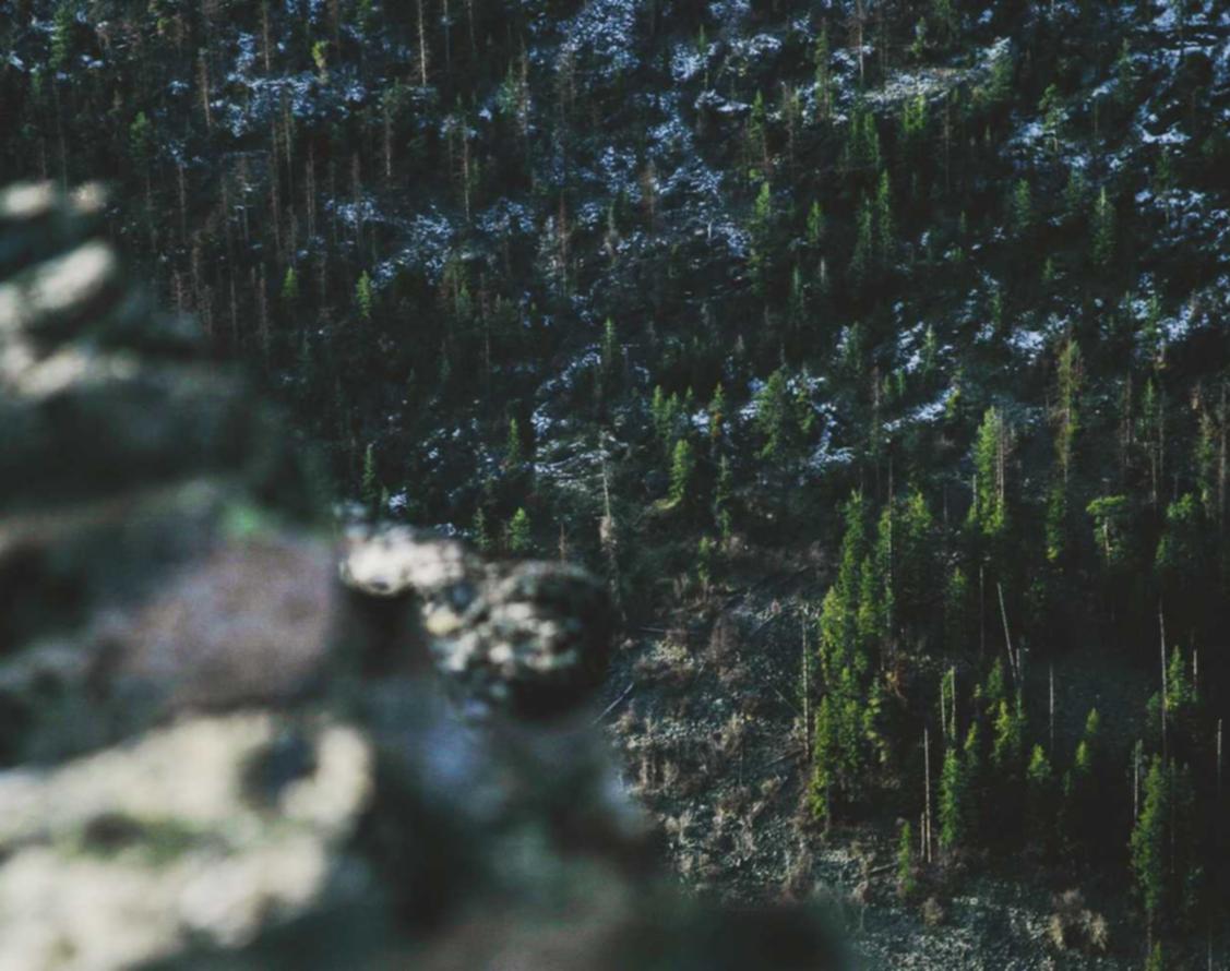 新笑傲江湖:松江注册代理记账代理公司