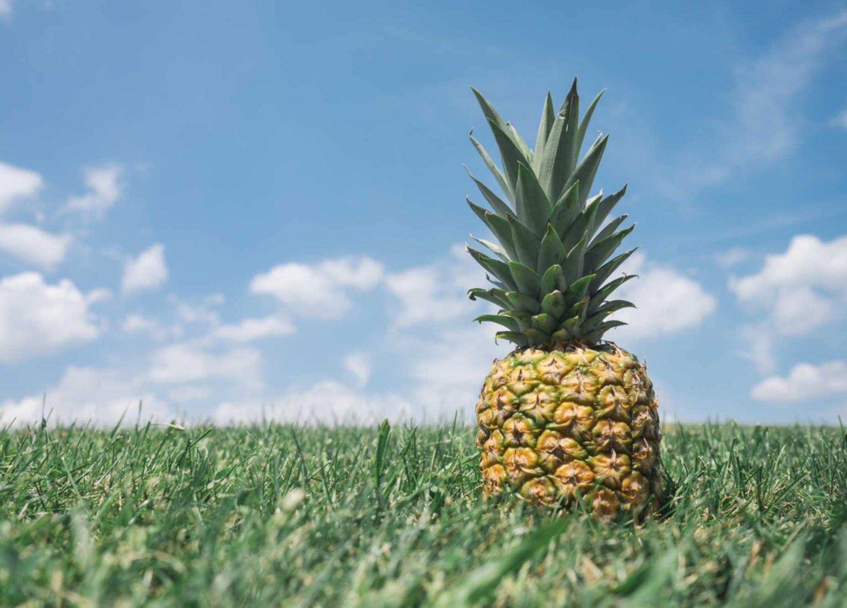 DDOS压力测试|如何防范恶意软件和黑客攻击