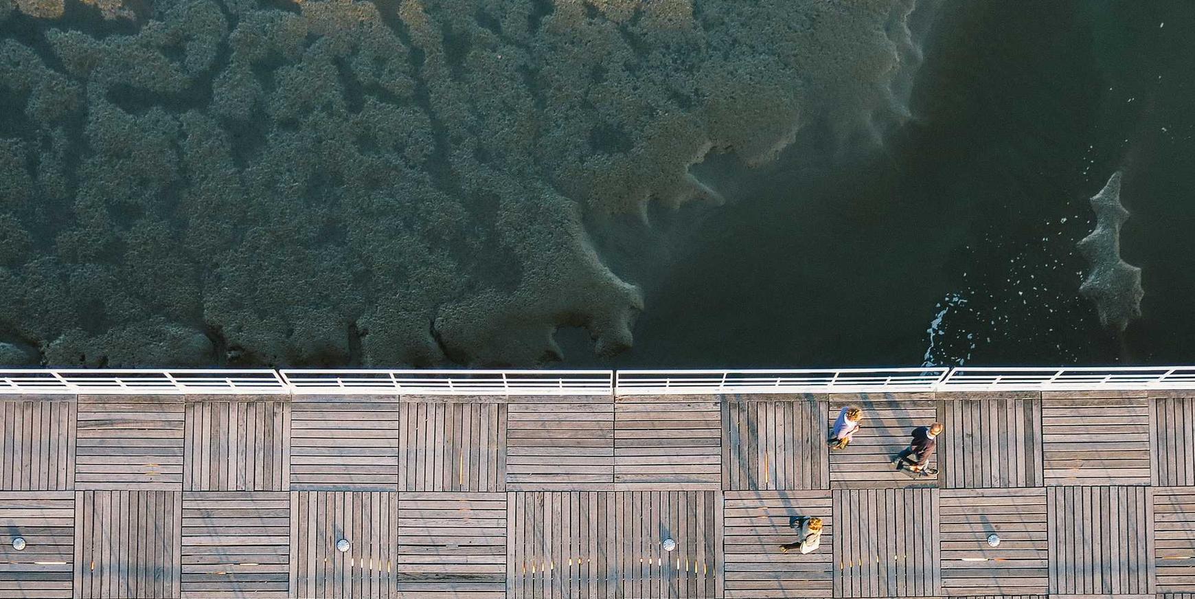 杏宇水蜜桃购买平台