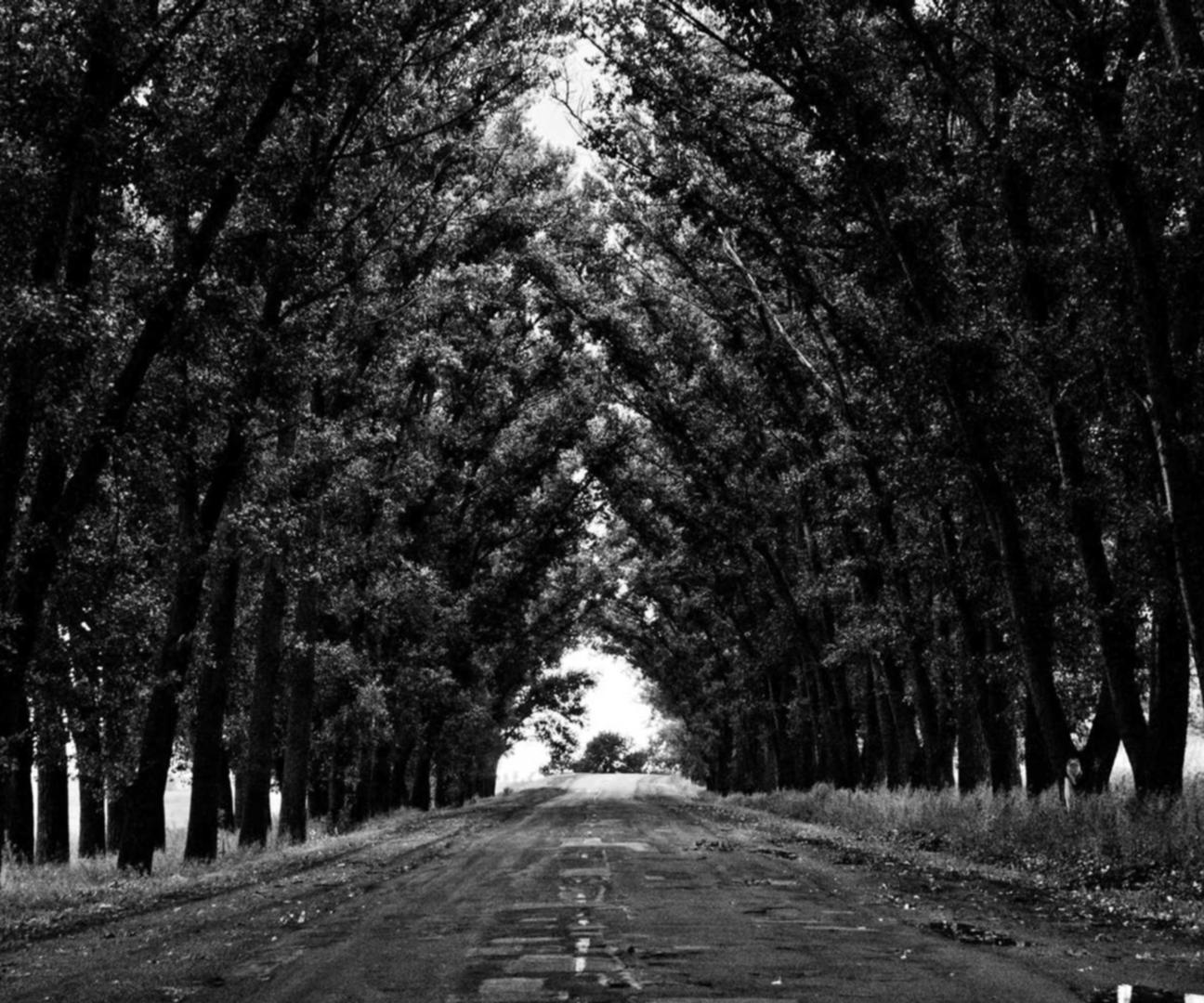 DDOS攻击教程|济南矿泉水注册商标代理