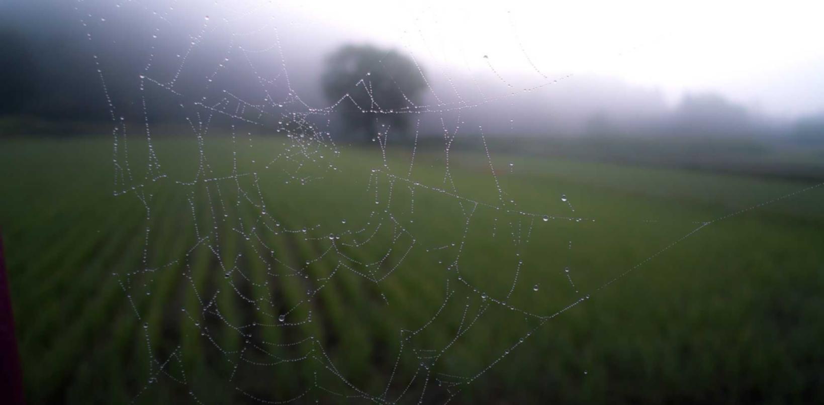 天运如何提高企业营销执行力