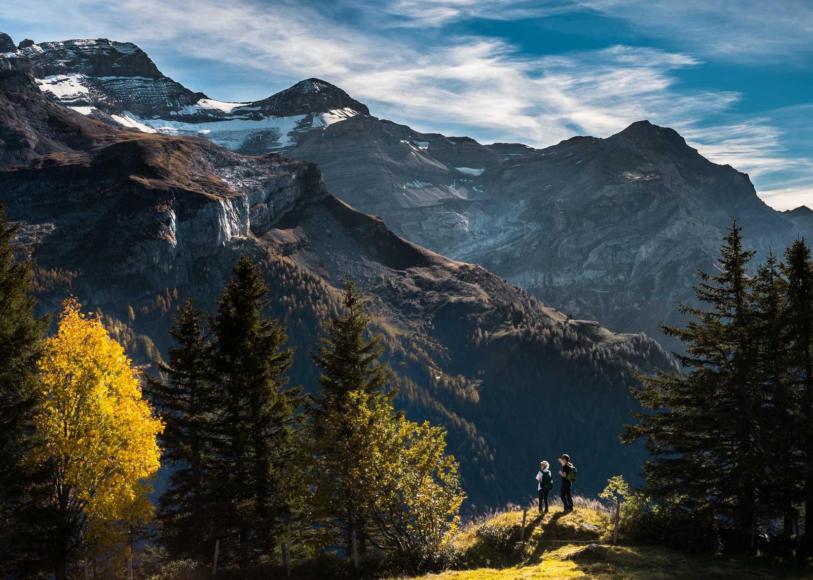 第九大陆:淮滨代理注册公司电话